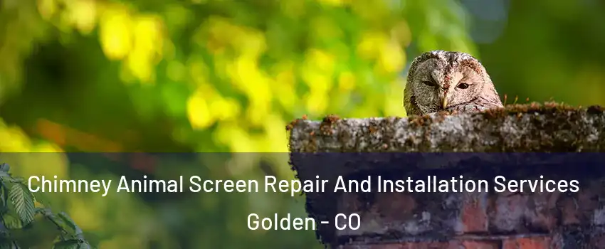 Chimney Animal Screen Repair And Installation Services Golden - CO