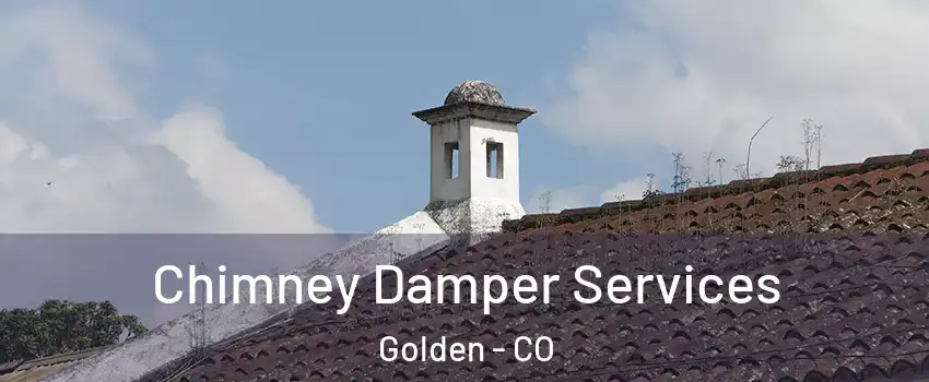  Chimney Damper Services Golden - CO