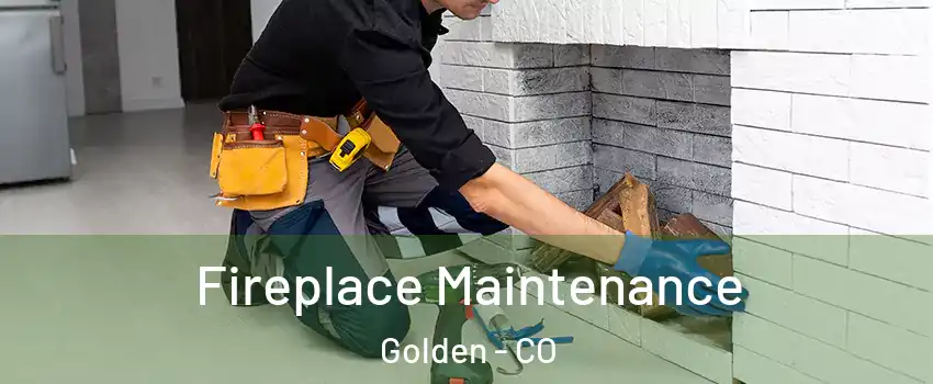  Fireplace Maintenance Golden - CO