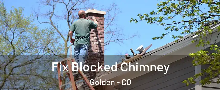  Fix Blocked Chimney Golden - CO