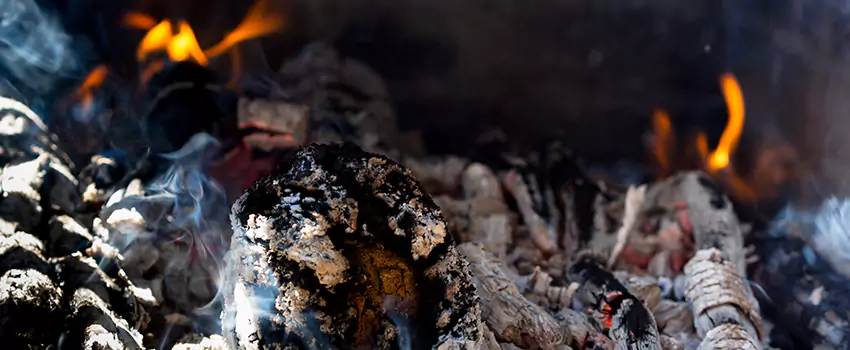 Creosote Removal Experts in Golden, CO
