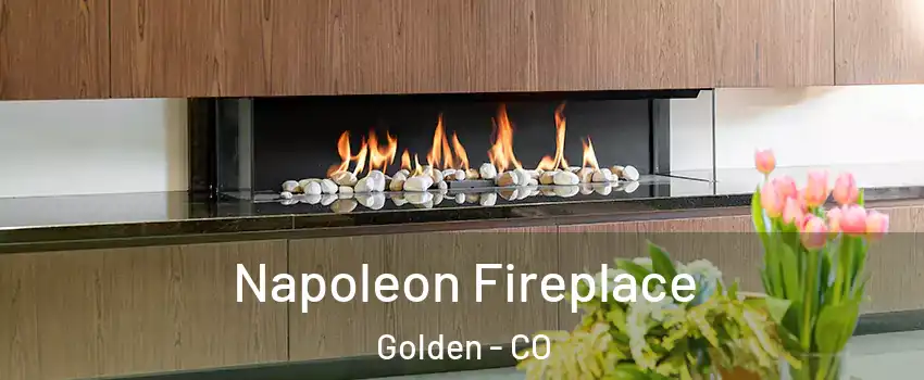  Napoleon Fireplace Golden - CO